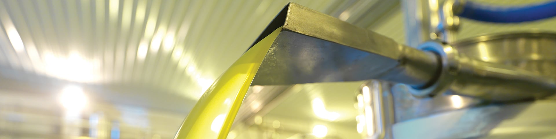 Olive Oil Booster herobanner 1920x480 1