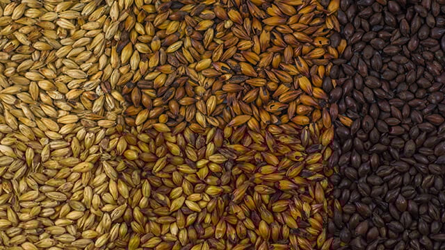 4 types of seed for barley malt beer