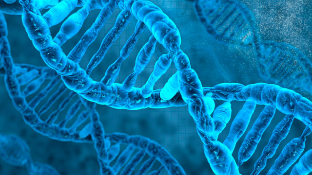 smaller-batches-640x360