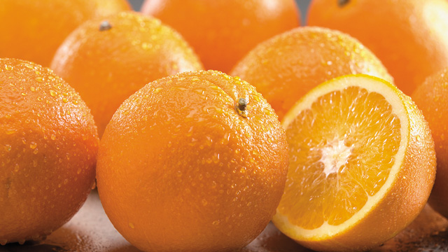 Citrus 640x360