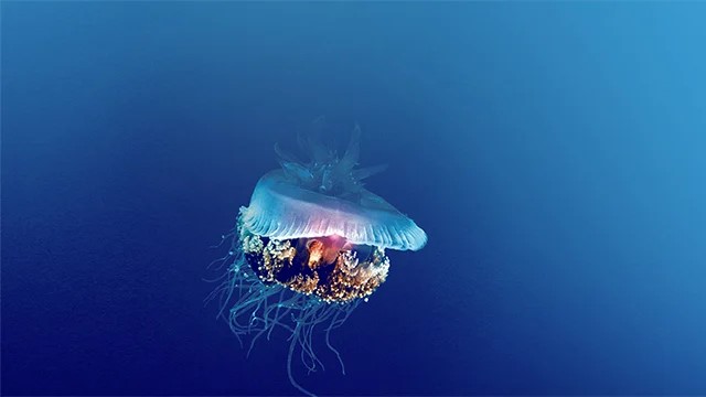 Cagada 2.2