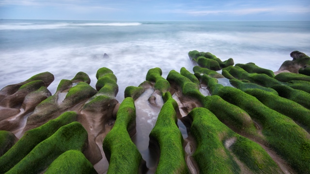 TW green reef 640x360