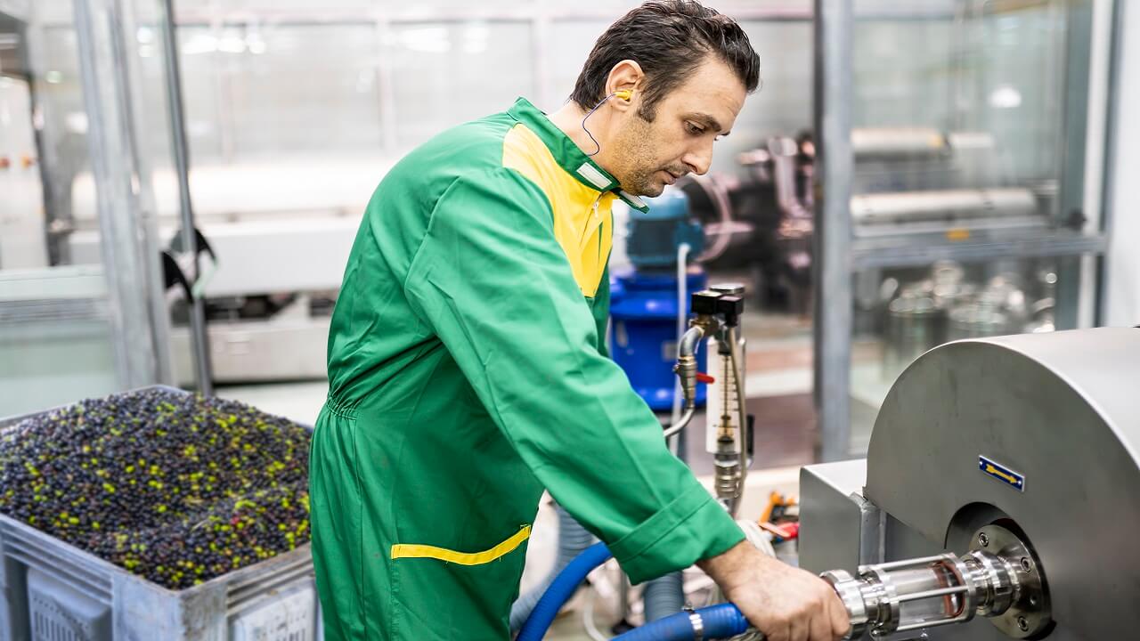 Industrial scale olive oil millers 1280x720